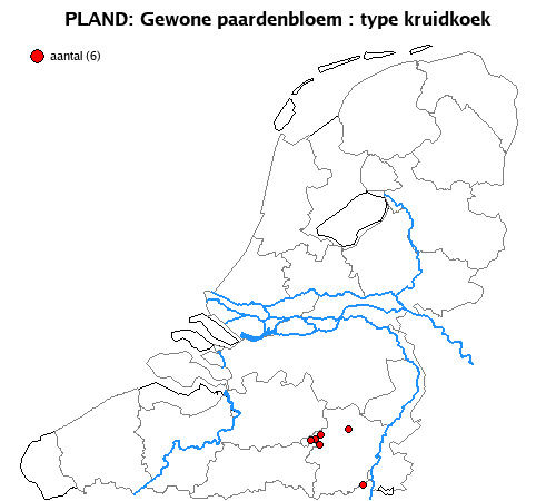 kruidkoek